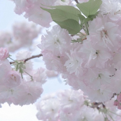 甘州FurryQQ群介绍